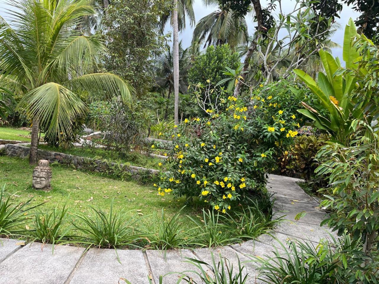 Alam Kowang Villa Tejakula Buitenkant foto